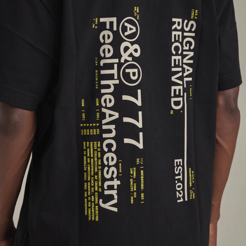 AP CROWN SIGNAL CAMISETA ASHEN BLACK REGULAR NEGRO