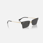 GAFAS RAYBAN XIME DORADAS
