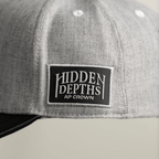 AP CROWN HIDDEN DEPTHS INFINETE GORRA REGULAR FIT GRIS