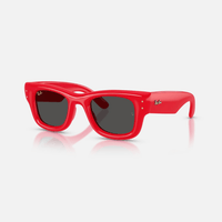 GAFAS RAYBAN X A$AP WAYFARER PUFFER ROJAS