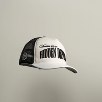 AP CROWN HIDDEN DEPTHS MARINE GORRA  BEIGE