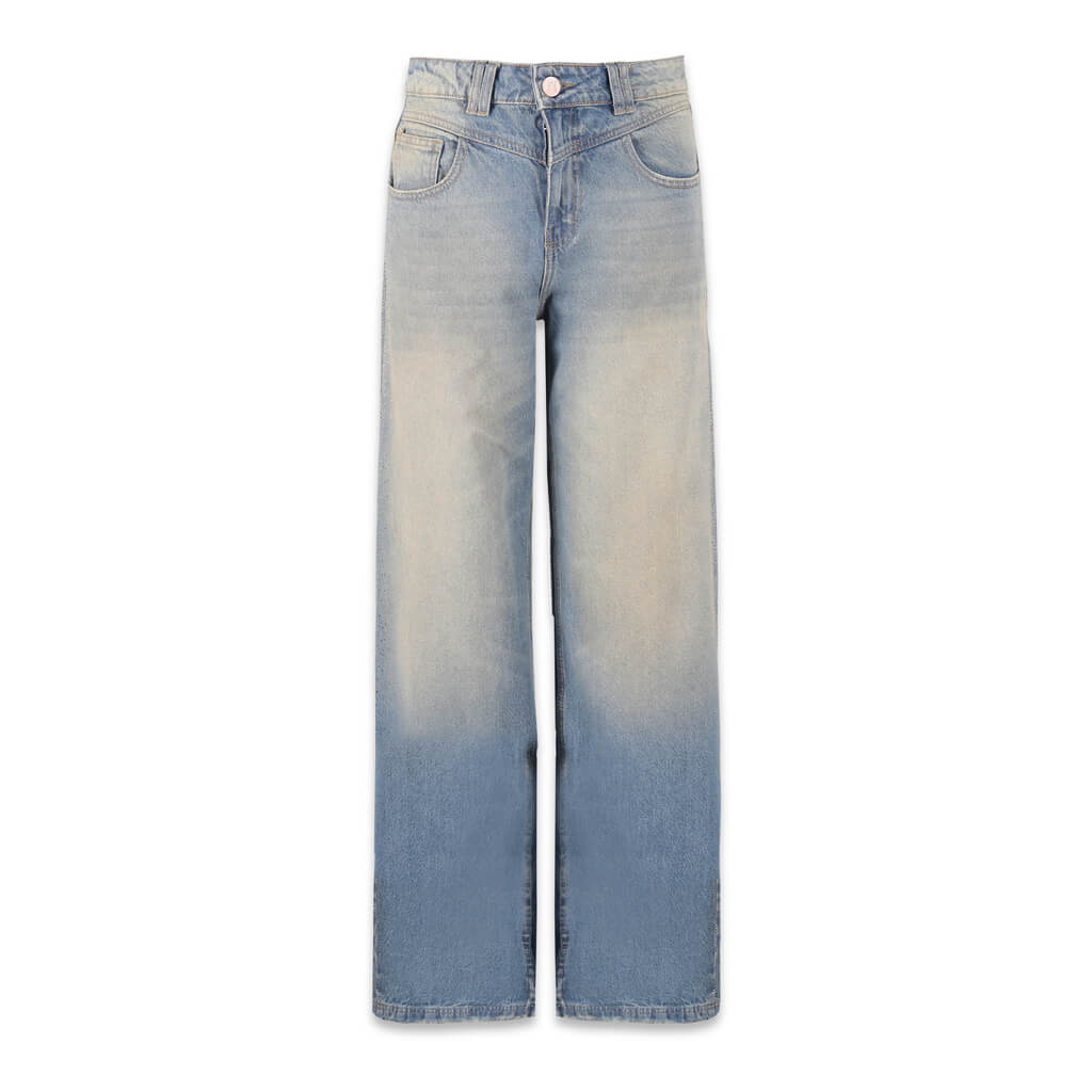 AURUM GEMS & STONES DIRTY SHINY W JEANS LOOSE FIT GRIS