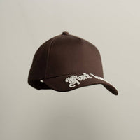 AP CROWN FIAT LUX ALTARE GORRA AJUSTABLE ALL OVER CAFE