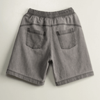 AP CROWN HIDDEN DEPTHS RIVER SHORT OVERSIZE GRIS