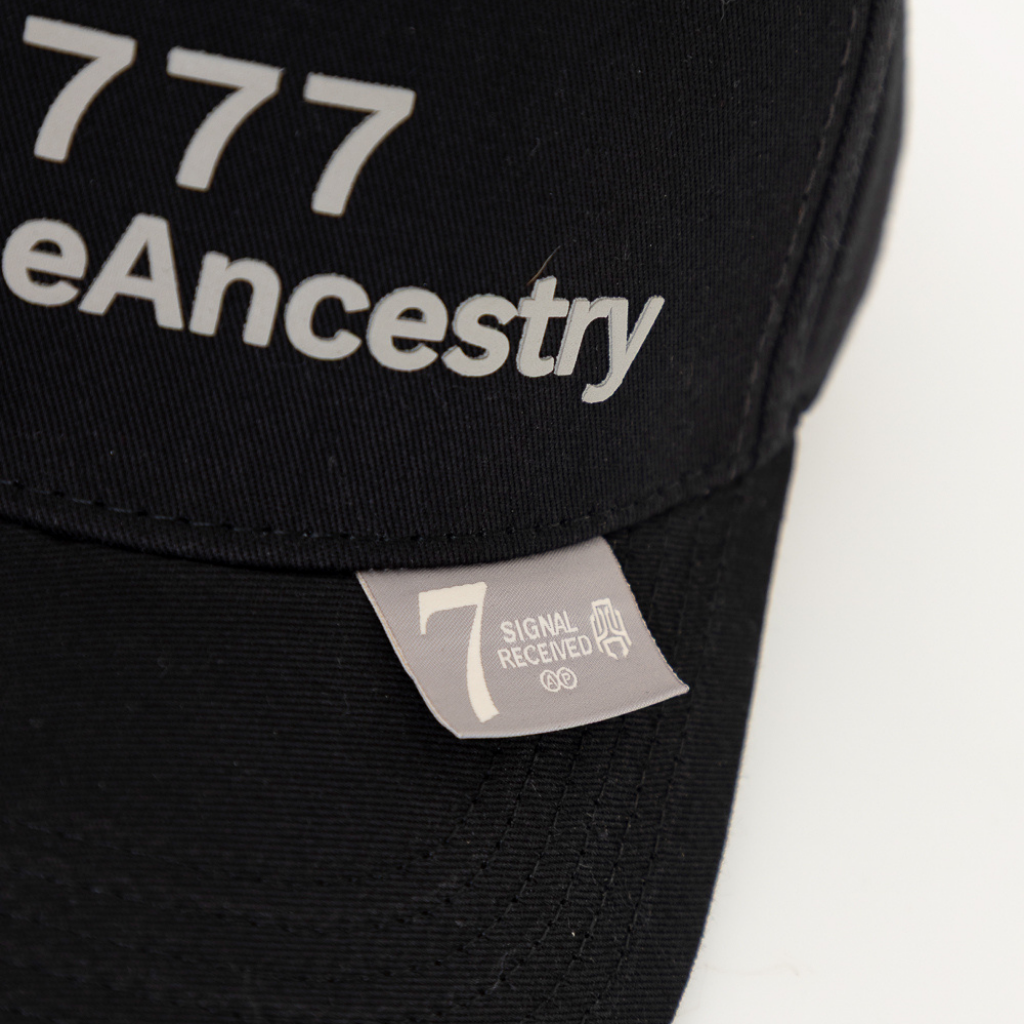 AP CROWN SIGNAL GORRA AJUSTABLE ASHEN ALL OVER NEGRO