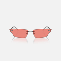 GAFAS RAYBAN ANH ROJAS