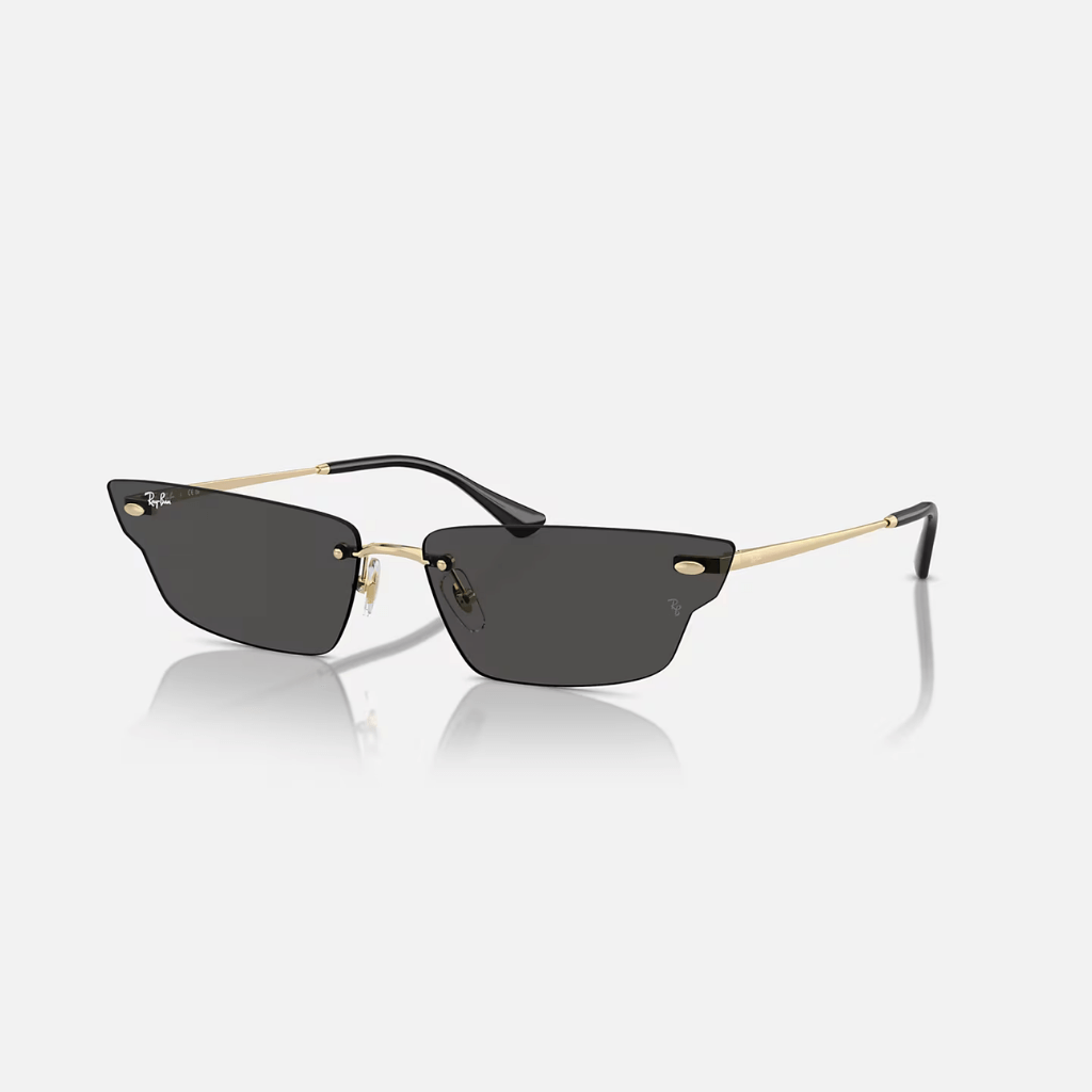 GAFAS RAYBAN ANH NEGRAS