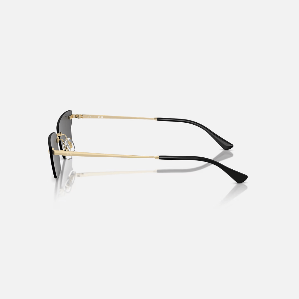 GAFAS RAYBAN ANH NEGRAS
