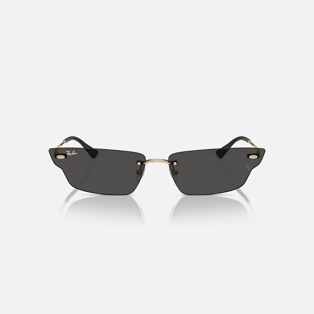 GAFAS RAYBAN ANH NEGRAS