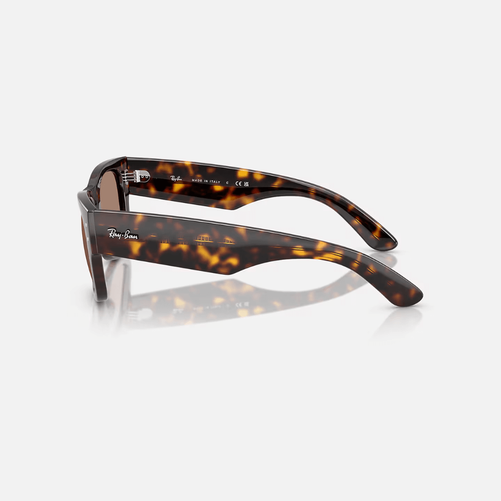 GAFAS RAYBAN MEGA WAYFARER SUMMER CAPSULE POLISHED HAVANA
