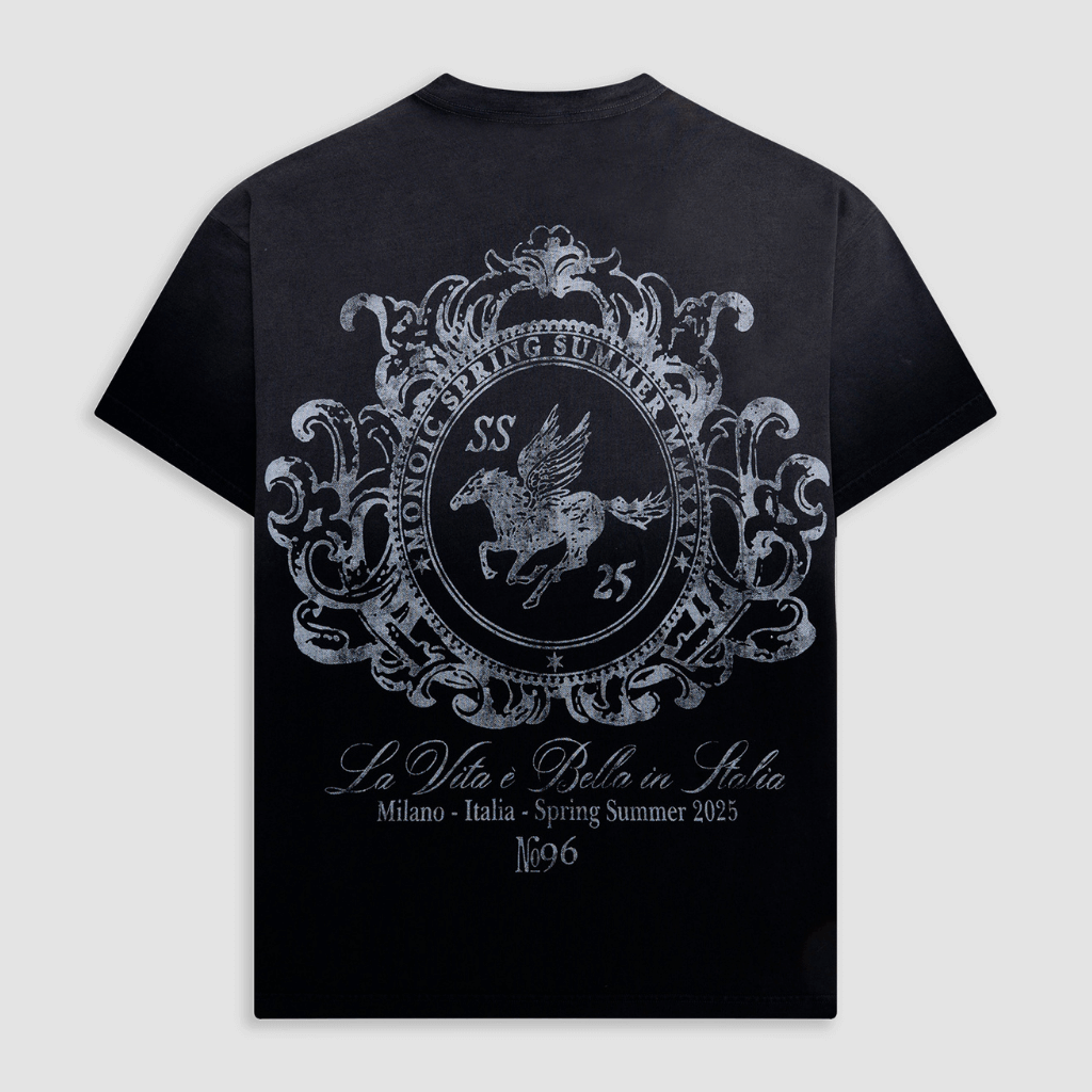 MONOIC TUTTO BENE I CAMISETA OVERSIZED CAVALLO NEGRO DESGASTADO