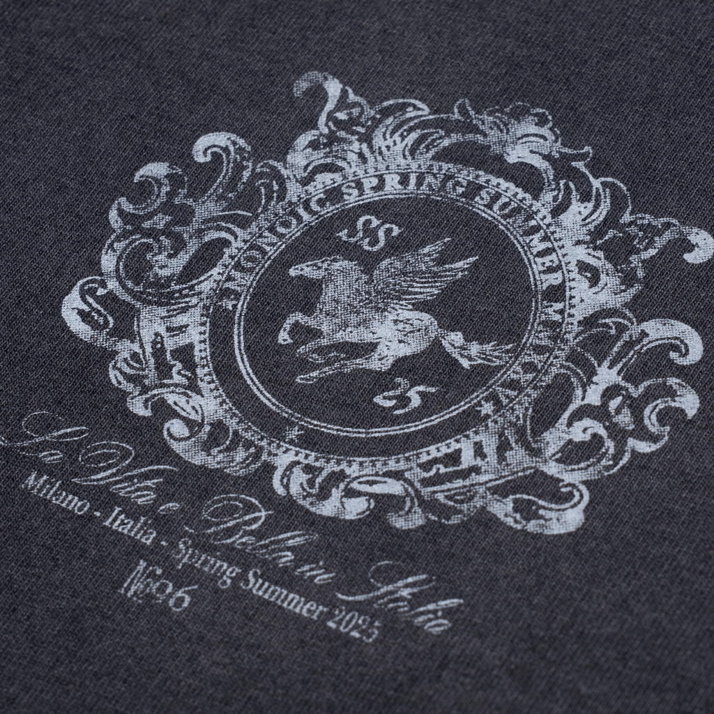 MONOIC TUTTO BENE I CAMISETA OVERSIZED CAVALLO NEGRO DESGASTADO