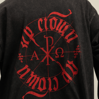 AP CROWN FIAT LUX OMEGA PULLOVER MANGA LARGA  NEGRO