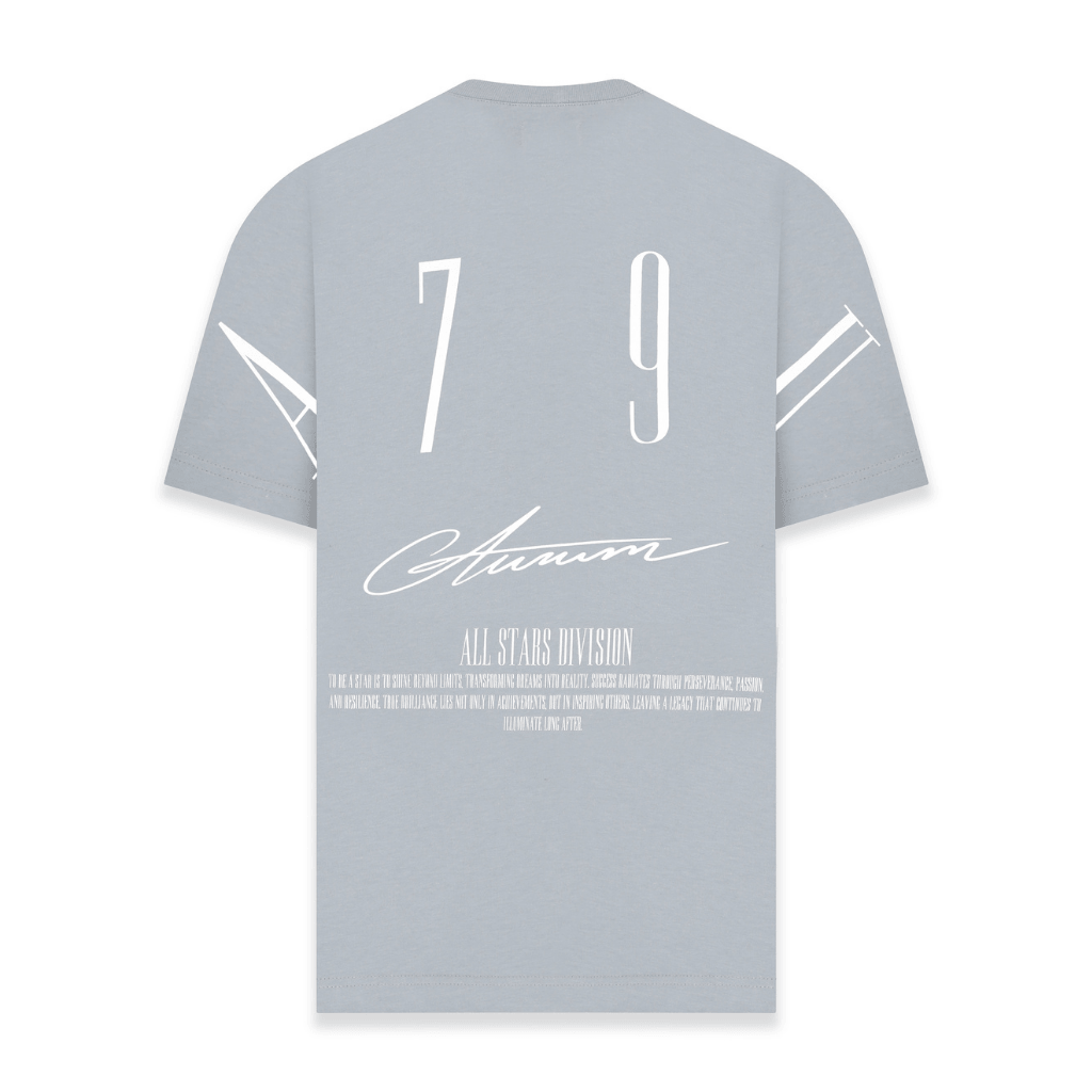 AURUM STARS I GREY STARDUST CAMISETA SEMI OVERSIZED GRIS