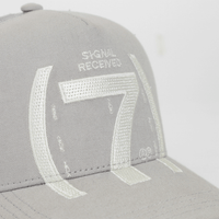 AP CROWN SIGNAL GORRA AJUSTABLE LUMEN TRUCKER GRIS
