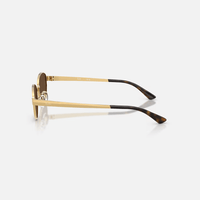 GAFAS RAYBAN RB3774D LENTE CAFE MARCO DORADO