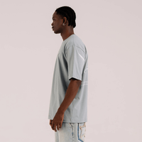 AURUM STARS I GREY STARDUST CAMISETA SEMI OVERSIZED GRIS