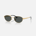 GAFAS RAYBAN RB3774D LENTE GRIS OSCURO MARCO DORADO