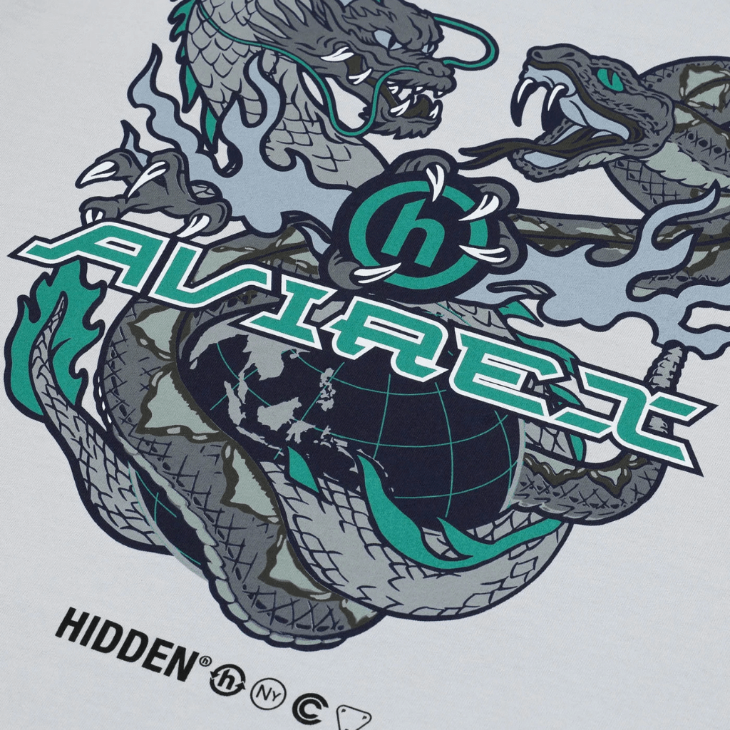 HIDDEN X AVIREX WORLDWIDE CAMISETA GRIS