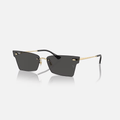 GAFAS RAYBAN XIME DORADAS