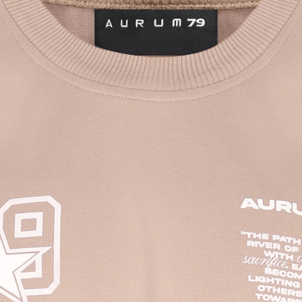 AURUM STARS I STAR AURA MOCHA CAMISETA OVERSIZE CAFE