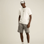 AP CROWN HIDDEN DEPTHS RIVER SHORT OVERSIZE GRIS