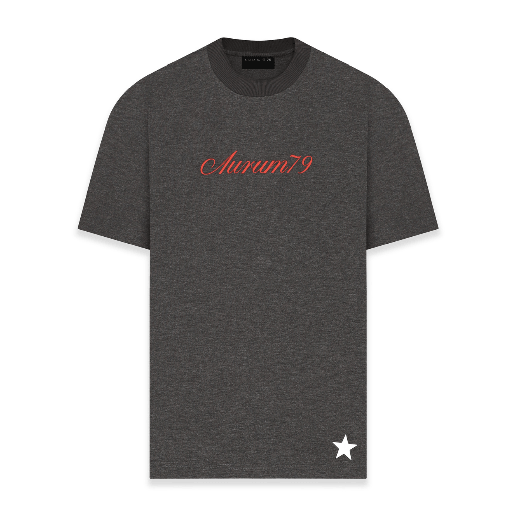 AURUM STARS I PM CAMISETA OVERSIZED GRIS