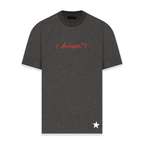 AURUM STARS I PM CAMISETA OVERSIZED GRIS