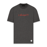 AURUM STARS I PM CAMISETA OVERSIZED GRIS