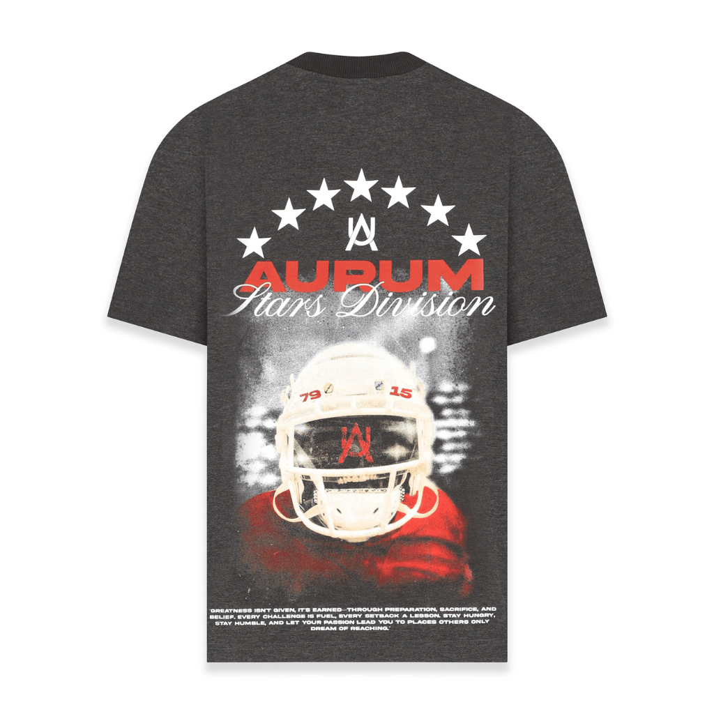 AURUM STARS I PM CAMISETA OVERSIZED GRIS