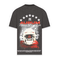 AURUM STARS I PM CAMISETA OVERSIZED GRIS