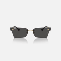 GAFAS RAYBAN XIME DORADAS