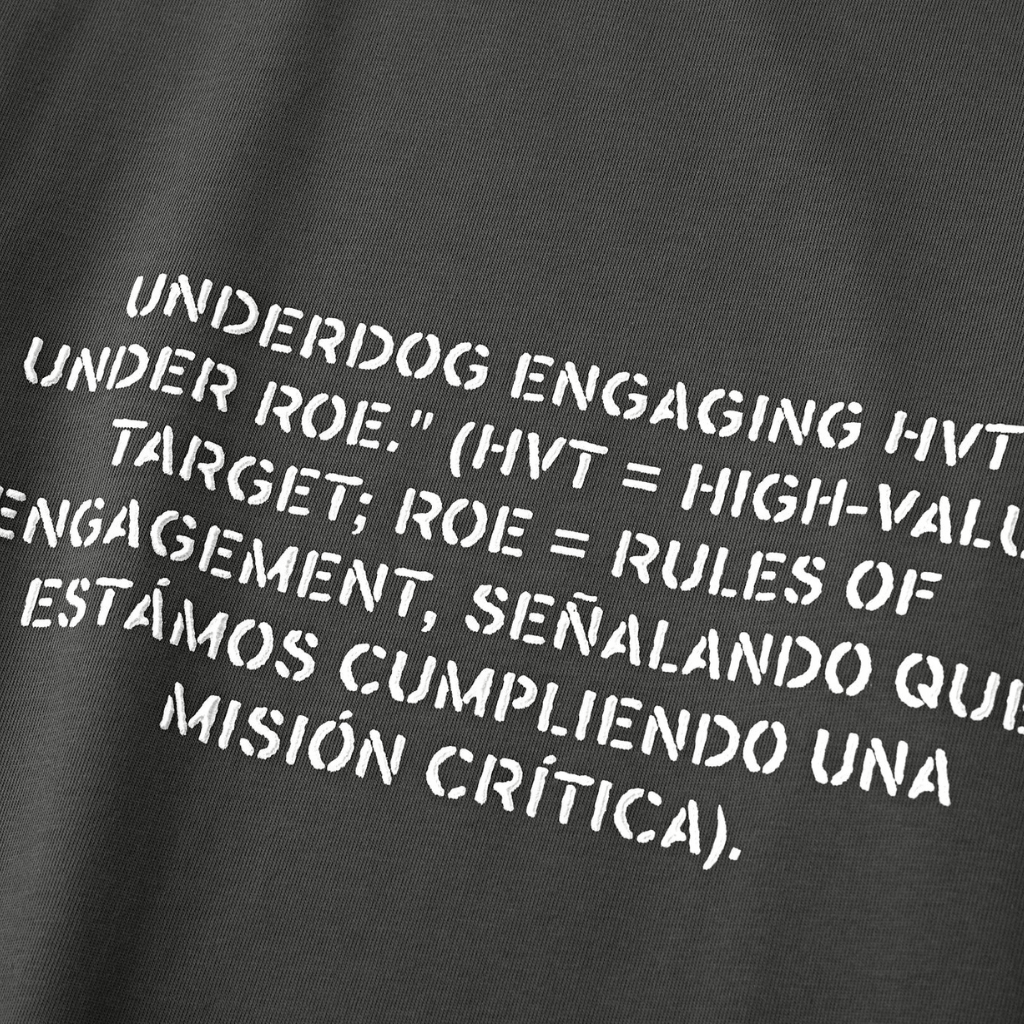 SON OF SON OVERSIZE GREY RAISED BY THE HILLS CAMISETA OVERSIZE GRIS