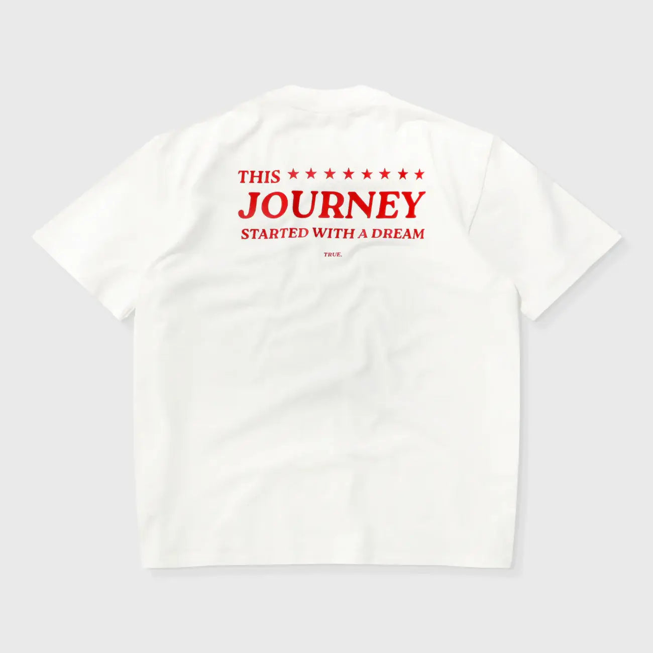 TRUE THE JOURNEY OVERSIZED T-SHIRT CAMISETA BEIGE