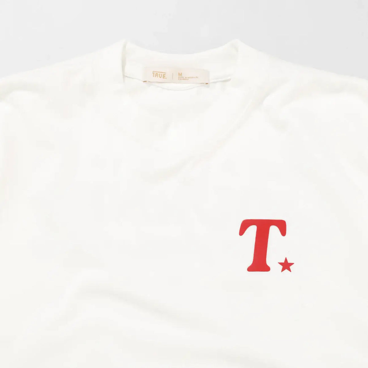 TRUE THE JOURNEY OVERSIZED T-SHIRT CAMISETA BEIGE