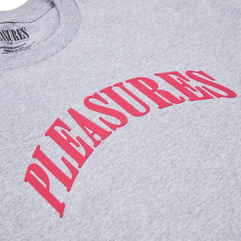 PLEASURES SURPRISE CAMISETA GRIS